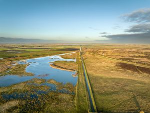 Supporting image for story: National Trust’s largest lowland peat restoration a ‘powerful step forward’