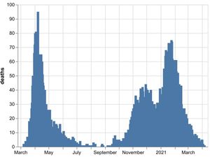 Supporting image for story: No further Covid deaths announced at hospitals in Black Country, Birmingham and Staffordshire