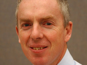 Supporting image for story: Winning bid underlines our faith in livestock auctions