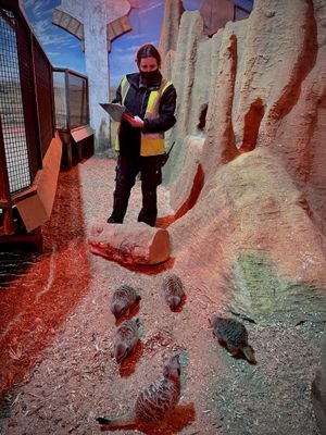 Staff at Drayton Manor Park have been taking stock of the animals