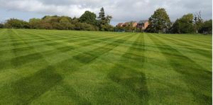 Developer contributions have paid for the creation and improvement of New Football Pitch at OD Murphy Playing Fields. Picture: Telford & Wrekin Council
