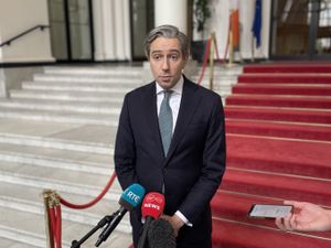 Supporting image for story: Irish citizens evacuated from Iran