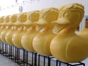 Supporting image for story: Ducks to go on display in Ironbridge