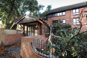 Part of the massive tree that fell at Priory Court, Waterloo Road, Wolverhampton