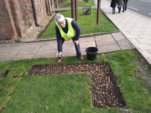 Rotarian Willie Strachan with bulbs about to be planted