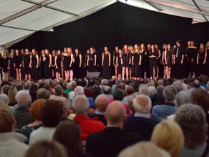 Supporting image for story: Much Wenlock Festival a record breaker