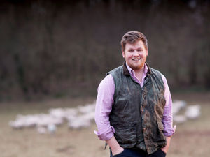 Supporting image for story: Could insect farming take off and reduce food waste?