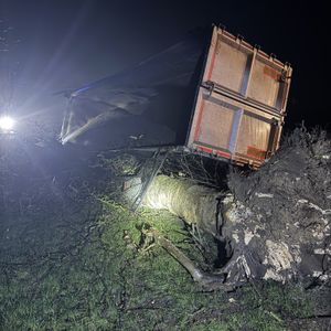 The lorry crashed on the A489. Picture: Mid and West Wales Fire and Rescue Service