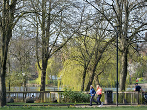 Supporting image for story: Covid memorial trail to be created in Walsall Arboretum