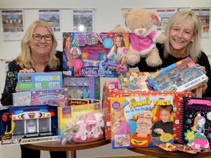 Supporting image for story: Toys appeal for children’s ward