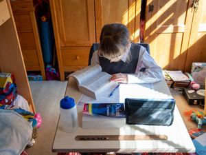 Supporting image for story: Fears one in six schoolchildren may never catch up on lost time without support