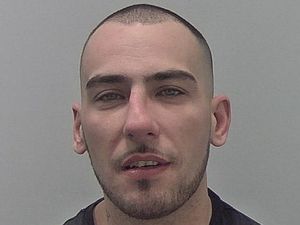 Supporting image for story: Drunk thief broke into pensioners' home then reversed into tree