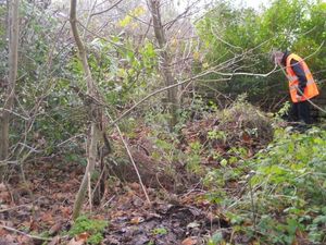 Supporting image for story: Telford houses plan sparks petition from park volunteers