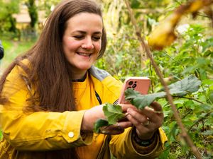 Supporting image for story: Citizen scientists spot nearly 2,000 signs of spring across Britain