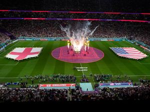 Supporting image for story: David Seaman hails England show of support for exclusivity 