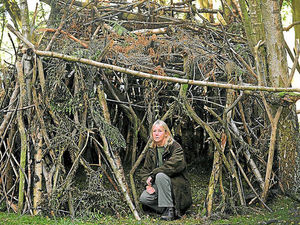 Supporting image for story: Secret den for deer photographers must go