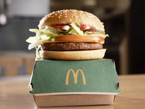 Supporting image for story: Fears new McDonald's could bring 'boy racers revving and piles of rubbish' to Bridgnorth