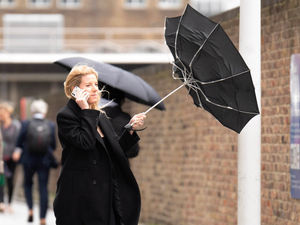 Supporting image for story: Heavy rain and wind batter Shropshire