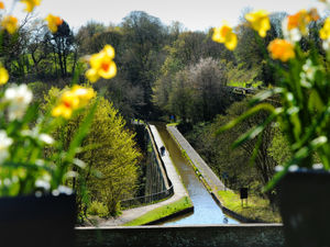 Supporting image for story: Green projects can get slice of £1.3 million funding 