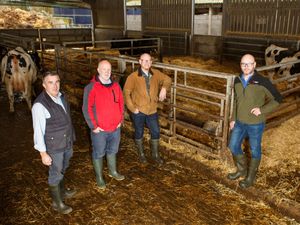 Supporting image for story: Welshpool project could hold key to carbon capture