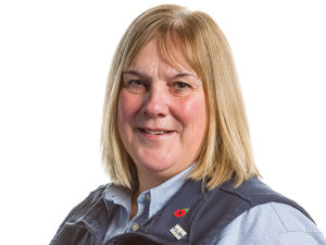 Supporting image for story: Pregnancy diagnosis in dairy herds