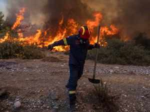 Supporting image for story: 'How as the human race are we getting this so wrong?' – Why I'm worried about my children's future on Planet Earth 