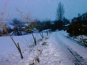 Supporting image for story: County spared worst of weather