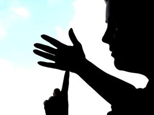 Supporting image for story: Study sheds light on how sign languages evolved