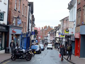 Supporting image for story: Cat cafe coming to Shrewsbury
