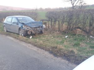Supporting image for story: Dog killed in car crash near Craven Arms