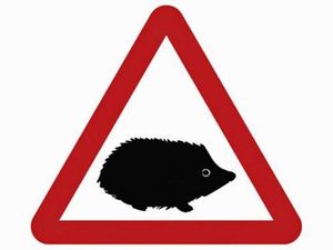 Supporting image for story: New hedgehog road sign launched to help protect small mammals