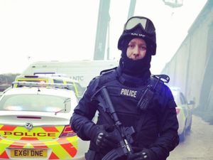 Supporting image for story