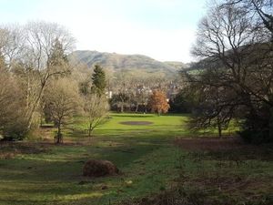 Supporting image for story: Shropshire woodland designed by Capability Brown step closer to nature reserve status 