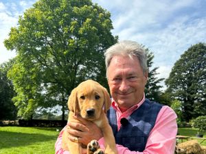 Supporting image for story: Alan Titchmarsh to welcome ‘very confident and bright’ dog to Love Your Weekend