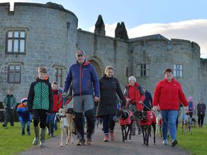 Supporting image for story: Shropshire dog rescue charity forced to turn animals away in cash squeeze

