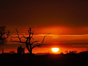 Supporting image for story: Sunsets have brought out photographers across Shropshire this week