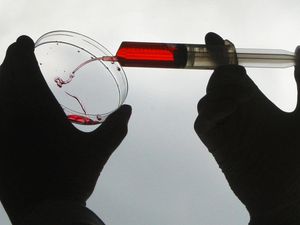 Supporting image for story: Vaccines for new coronavirus strains ‘can be created in weeks’