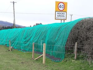 Supporting image for story: The great bird nets controversy as thousands sign petition