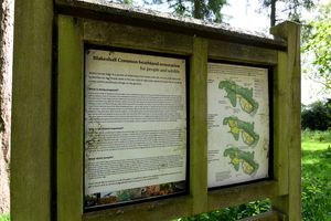 Blakeshall Common, near Kinver Edge