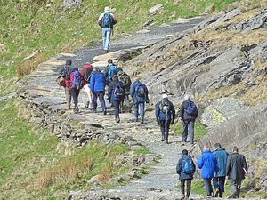 Supporting image for story: Snowdon visitors urged to book or take park and ride
