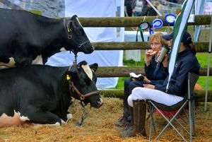 Burwarton Show