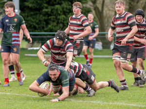 Freddie Wilson dives in for a try during Lichfield's 72-7 victory over Tamworth on Saturday (Picture: Jim Wall)