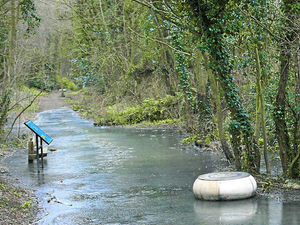 Supporting image for story: Action plea to tackle flooding on Much Wenlock art trail