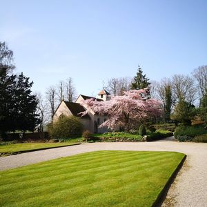 The Yoshino Cherry Tree at the National Trust’s Benthall Hall (near Broseley in Shropshire)