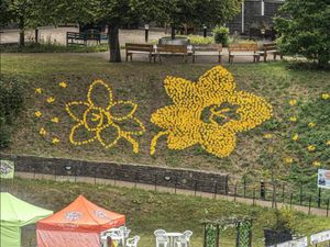 Supporting image for story: Ironwork Centre's stunning metal flowers make incredible fundraising display at historic castle