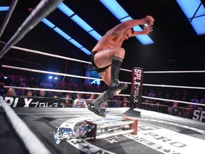 Supporting image for story: Fight Club: PRO, Starworks Warehouse, Wolverhampton - review with pictures