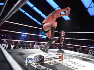 Supporting image for story: Fight Club: PRO, Starworks Warehouse, Wolverhampton - review with pictures