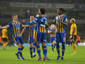 Supporting image for story: Shrewsbury Town vs Wolves: Classic clashes ahead of FA Cup showdown