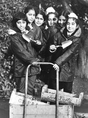 Six schoolchildren from Chadsway Junior School, Wednesfield, planted 1,000 bulbs as part of a scheme to brighten up the area for the town's millennium in November 1985. Pictured is Palvinder Banara, Jagjit Mattu, Ranjit Dhesi, Kulvinder Herr, Nirander Rai and Makhvinder Khosse.