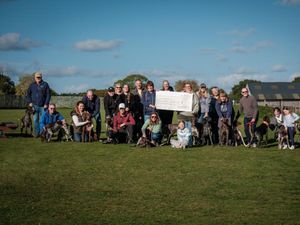 Supporting image for story: Massively popular Aldridge dog festival raised £4,000 for charity